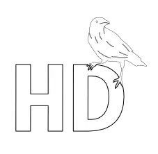 HD CROW